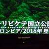 リハビリ日記～流れゆく日々