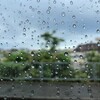 正直なところあんまり期待していない自分がいる