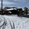 ちょっとした雪騒動