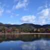 【大覚寺の見どころ】お堂庭園巡りに嵯峨菊観賞！紅葉美しい大沢池をぶらり散歩