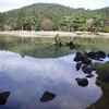  いかにも観光地な平泉