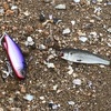 2020/6/28  釣行記　弱雨後ホームリバー&浜、イナッコボイルにまた完敗