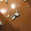 猫用のフードボウルを割ってしまった！！新しく買ったボウルはこちら！