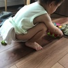 もうすぐ2才の夏はトイレトレーニングのチャンス