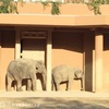 動物園で車椅子に乗って気づいた事