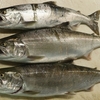 　肴の川魚料理【アマゴの冷燻製】