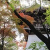 高幡不動_紅葉（東京都日野市）