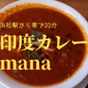 浜松駅から近くのインド料理店【印度カレーmana】の日替わりカレーを食べてみた