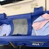【ANA】2026年 フライングホヌ！０歳の赤ちゃんとハワイ旅行!成田→ホノルルフライトレビュー【エコノミー 機内食】