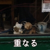 重なる