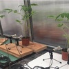 植物も苦しむと悲鳴をあげるらしい