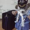 ミッキーさんバッグのカスタマイズです