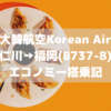 【帰りも餃子】大韓航空ICN→FUK(B737-8)エコノミー搭乗記