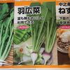 野菜の種購入