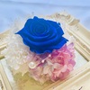 ディプロマコース 今回の作品はコサージュ！って…どこにつけるの？