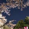 酒田市、夜桜の日和山公園 2020-4-16