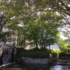 公園の中の美術館へ。。