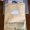【活動報告】月刊BugBug 2025年6月号 / 世間知らずだから「学びながら描く」ってこと、よくある