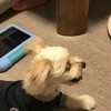 2024年8月振返り