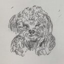 斎藤の日記