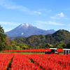 晩秋の鳥取・大山へ！雪化粧を纏った雄大な姿