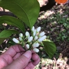 ご当地コスメが導く、明るい未来。
