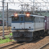 ＥＦ６５－２０５０と中央線３１３系