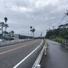 秋の味覚