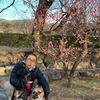 駿府城公園の梅！