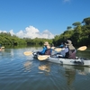 🛶石垣島にGO❗その⑤　マングローブでカヌーツアー😊
