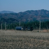 飯田線 ED62の短い貨物列車 83-6