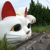 こだわりと矛盾