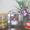 寒い雨の一日で映画『眼下の敵』を見る