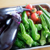 夏野菜を食べている🍅🫑🍆🌽🥒🌶