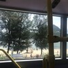 浅水湾
