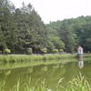 夏の西岡公園　―　動物たち　―