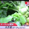 ザーサイの原料は？