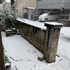 ●雪、積もりました。今シーズン4回目。　　　　　　　　　●高安は大の里に勝ち、優勝にいけるか！      　　　　●やっぱり豊昇龍の横綱は早かったのでは？？