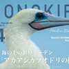 海の上の世界ガーデン「アカアシカツオドリの撮影」
