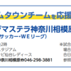 ホームタウンチームを応援しよう！ノジマステラ 1/7 2023年初戦！（2023/1/4)