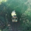 木のトンネル 平成筑豊鉄道