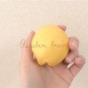 私の愛した檸檬とLemon