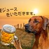 レイヤー表示・非表示ボタン～Photoshop Elements