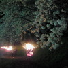 桜とかがり火