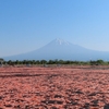 静岡桜えび旅行2019①　浜名湖のホテル