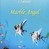 今Windows　CDソフト　AQUAZONE classic：Marble Angelというゲームにとんでもないことが起こっている？