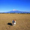 今日ノ富士山