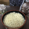 讃岐うどん本場の名店②～長田in香の香～