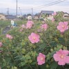 わたしは世の光である（2）暗闇にいる人々
