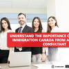 Understand the Importance of the 67 Points Immigration Canada from a Professional Consultant